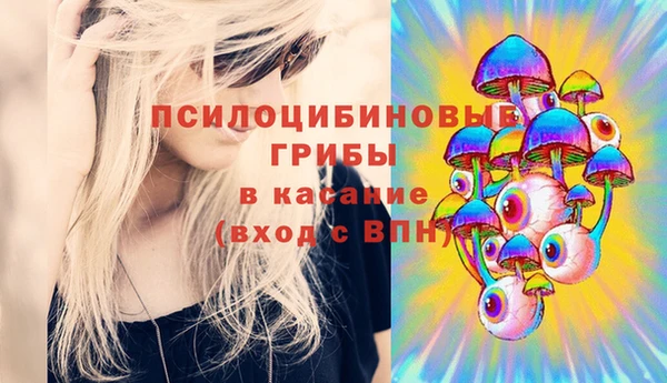 бутират Каменногорск