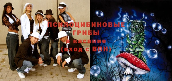 МДМА Каменка
