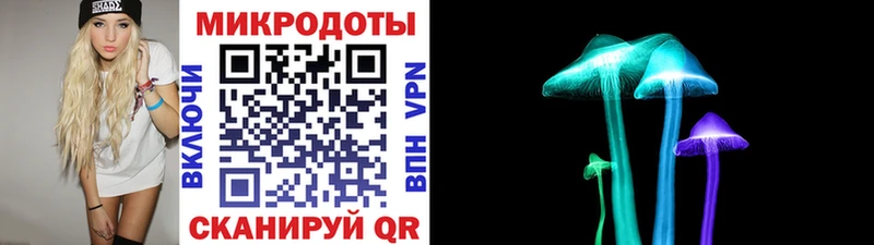 Купить  Зверево  Псилоцибиновые грибы Psilocybine cubensis 